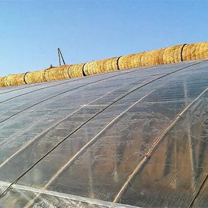 ग्रीनहाउस फिल्म कैसे चुनें?